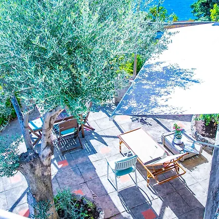 Star Fish House 빌라