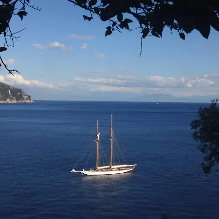 빌라 Star Fish House *