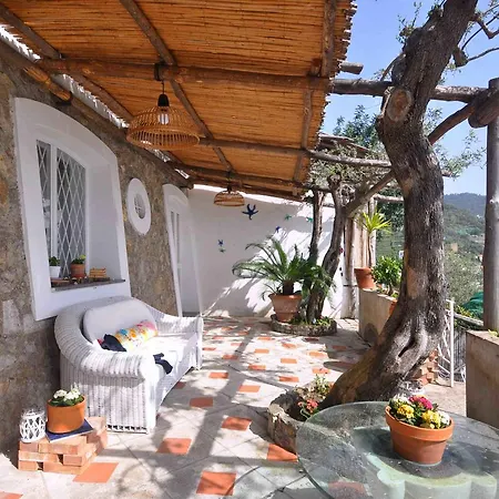 빌라 Star Fish House *