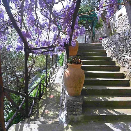 빌라 Star Fish House *