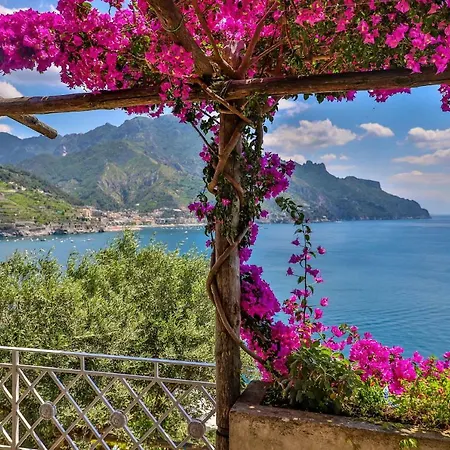 빌라 Star Fish House *