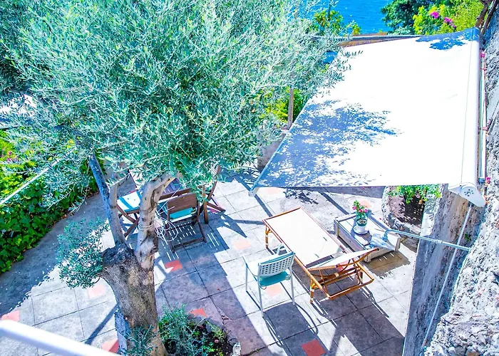 Star Fish House Villa