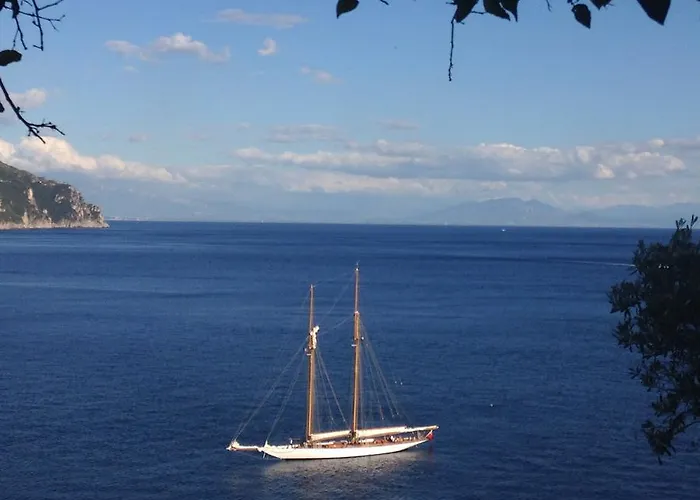 Villa Star Fish House *