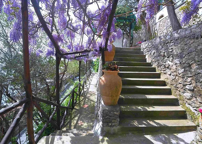 Villa Star Fish House *