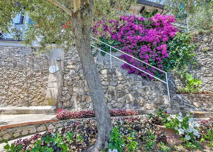 Villa Star Fish House