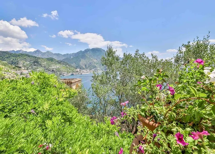 Star Fish House Villa *