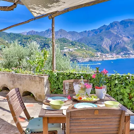 Villa Star Fish House