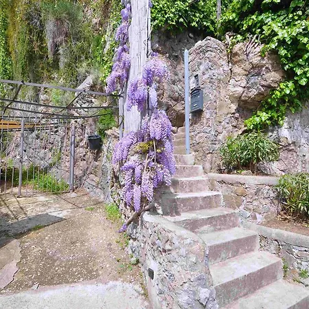 Star Fish House * Amalfi