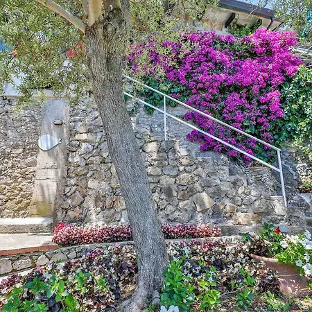 Villa Star Fish House