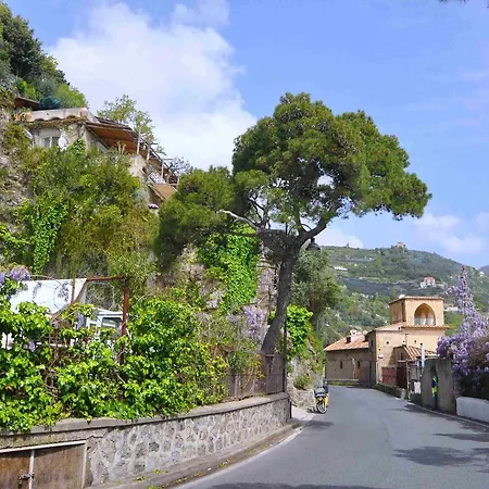 Star Fish House 别墅 *