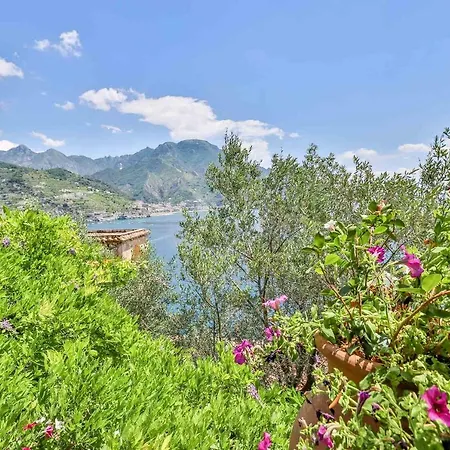 Star Fish House 别墅 *